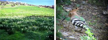 Foresta 2000 Nature Reserve